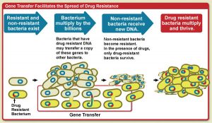 Antimicrobial resistance